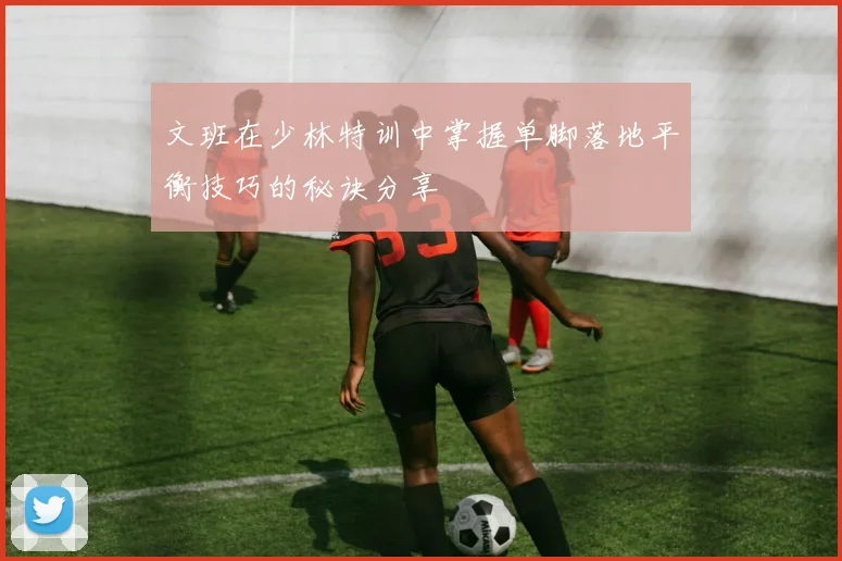 文班在少林特训中掌握单脚落地平衡技巧的秘诀分享